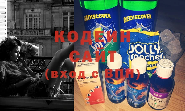 индика Новозыбков