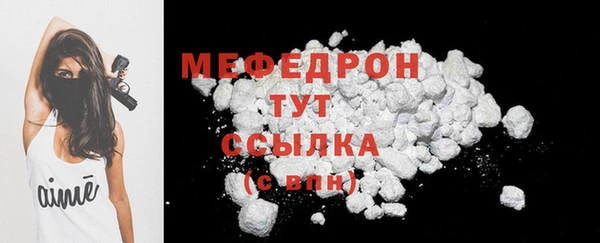 индика Новозыбков