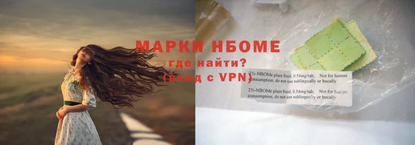 индика Новозыбков