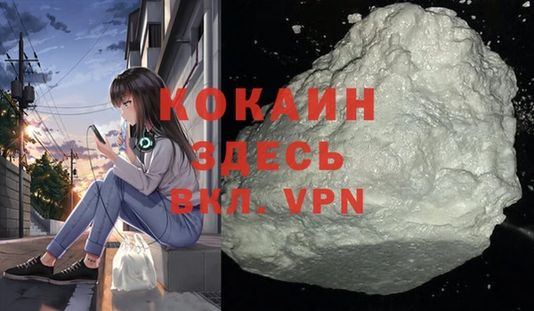 индика Новозыбков