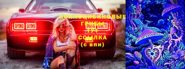 индика Новозыбков