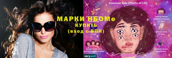 индика Новозыбков